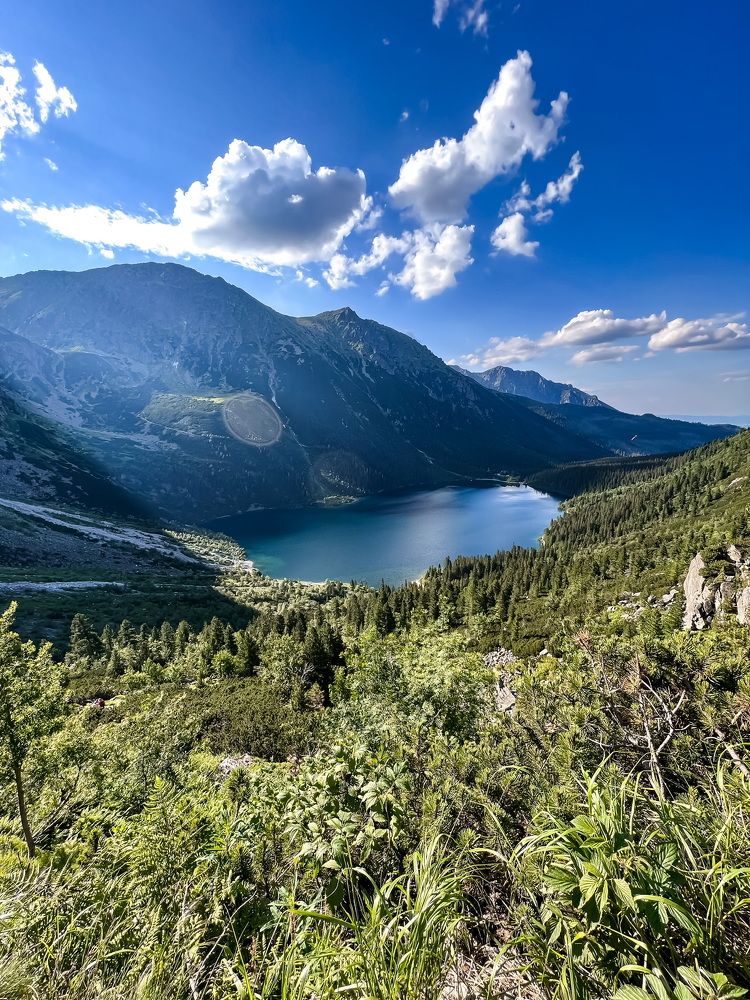 Photograph by Vialeta