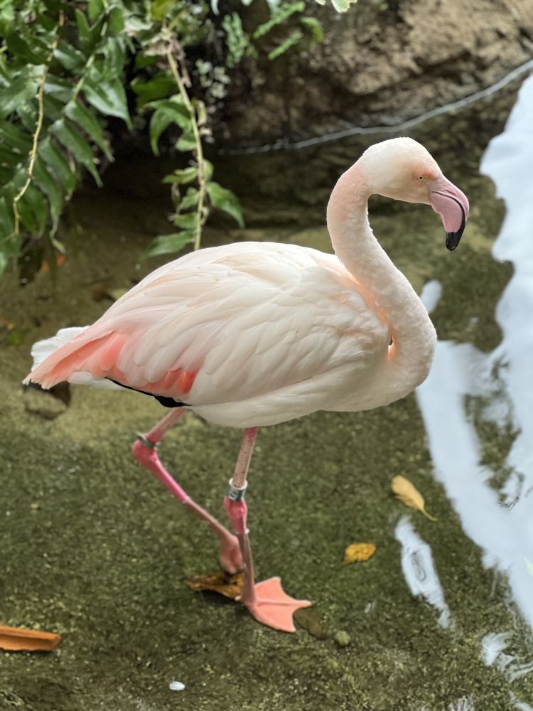 Photograph by Константин Нагорняк