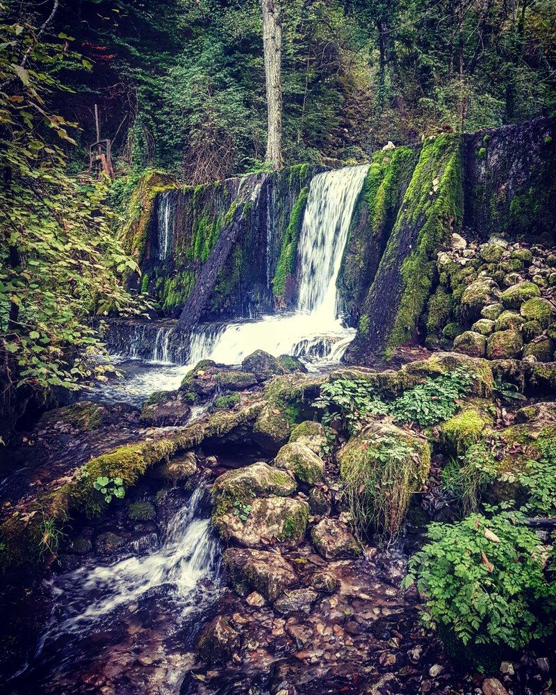 Photograph by Maja Micovic