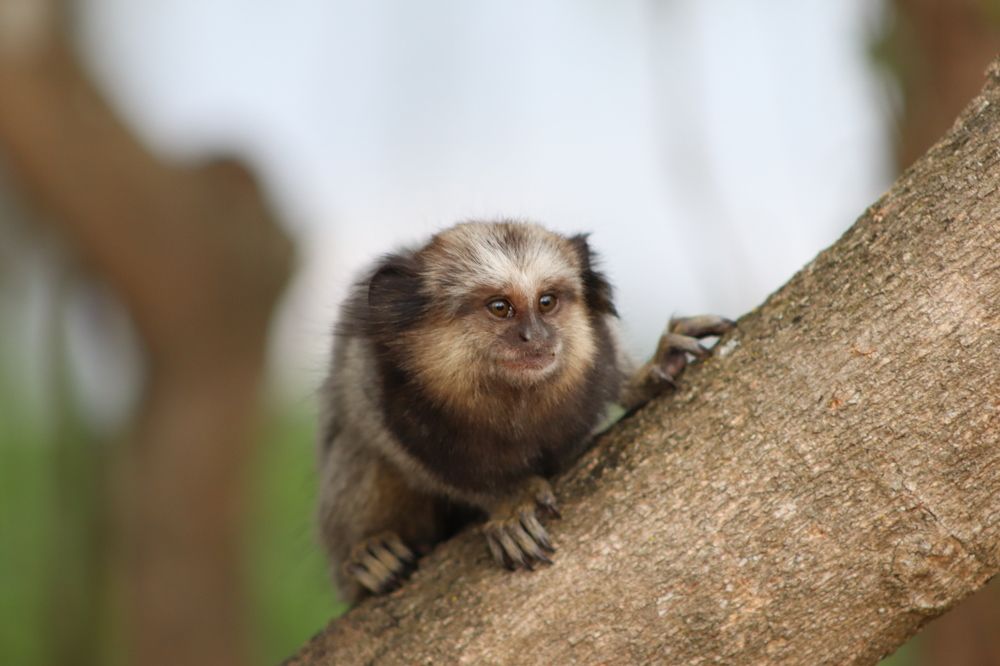 Photograph by Juliana