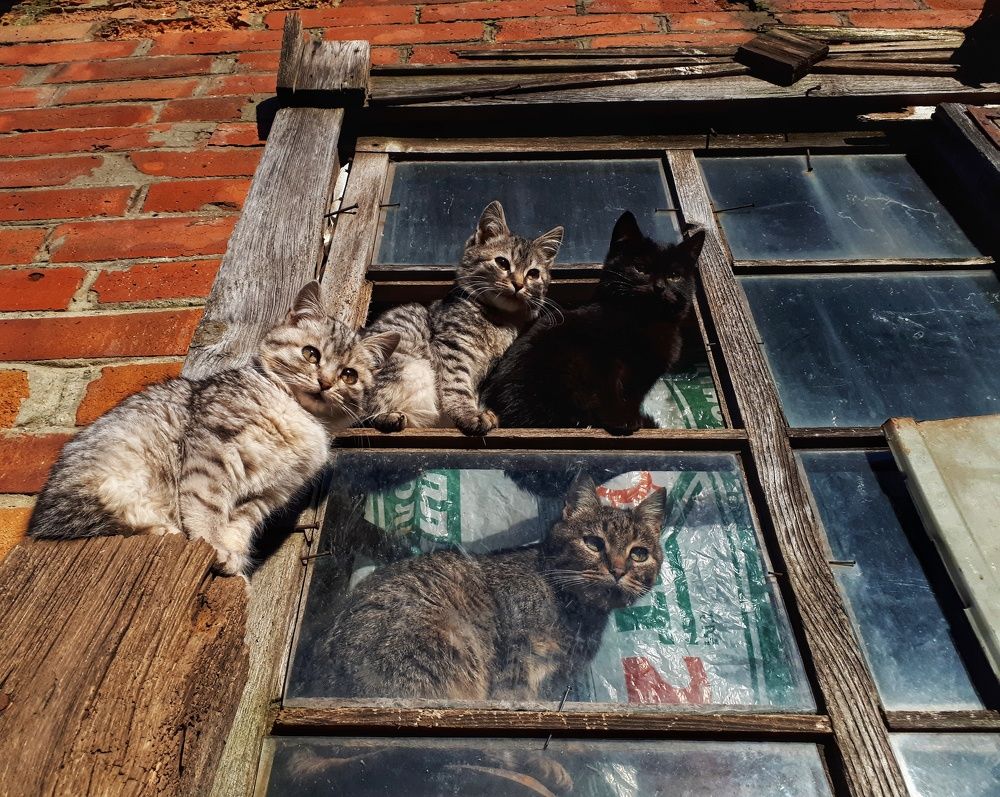 Photograph by Андрей Серый