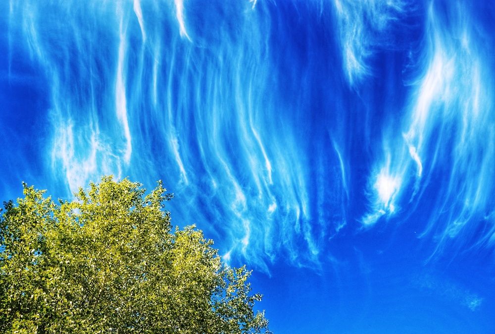 Photograph by Idir Bouaicha