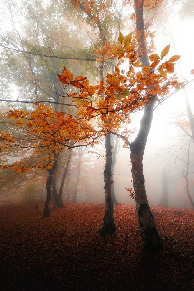 Photograph by Vahid Hassanabbasi