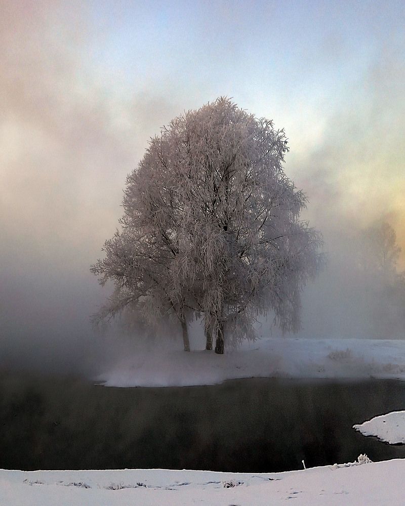 Фотография автора Любовь Харина
