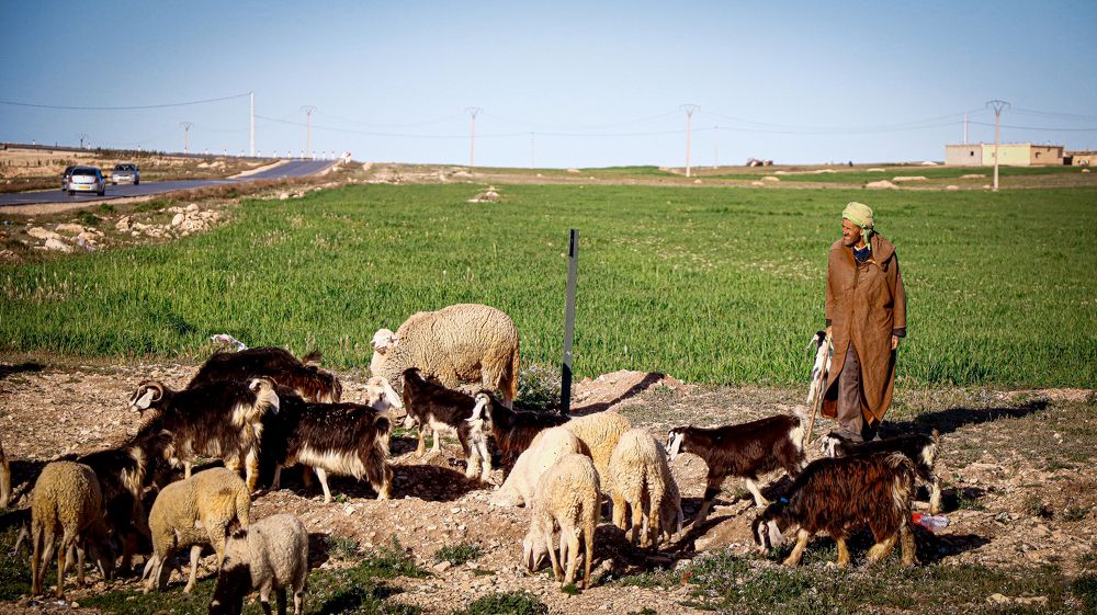 Photograph by Assal Mouadh