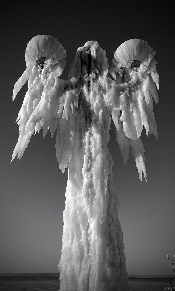 Photograph by Александра Безродная