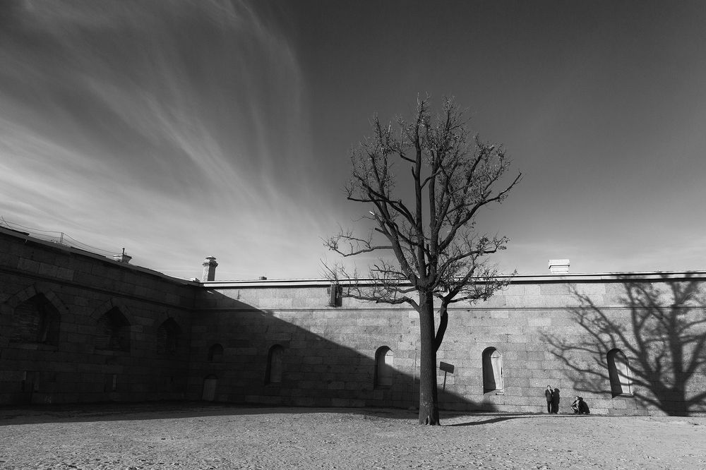 Photograph by Светлана Воробьёва