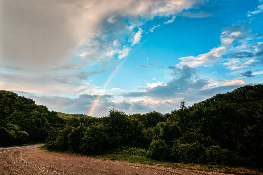 Photograph by EKATERINA WALTER