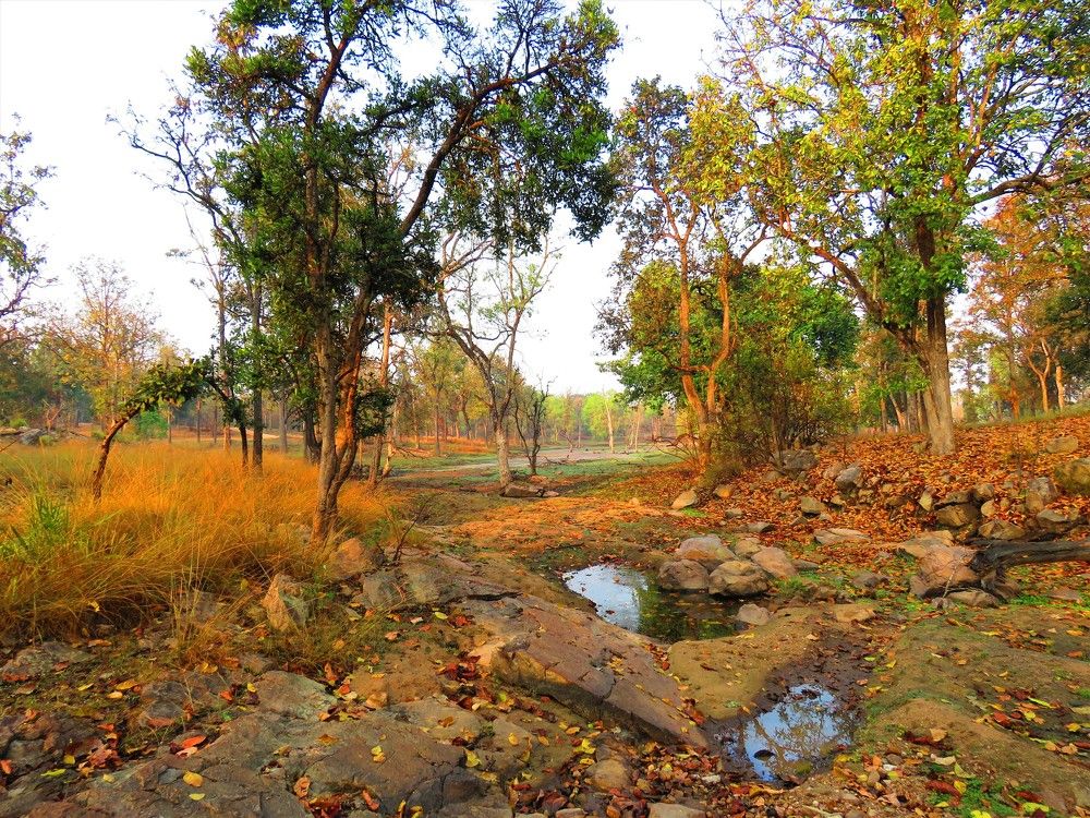 Photograph by ANISH BISWAS