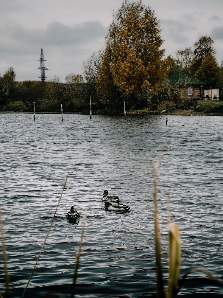 Photograph by Александр Маргачев