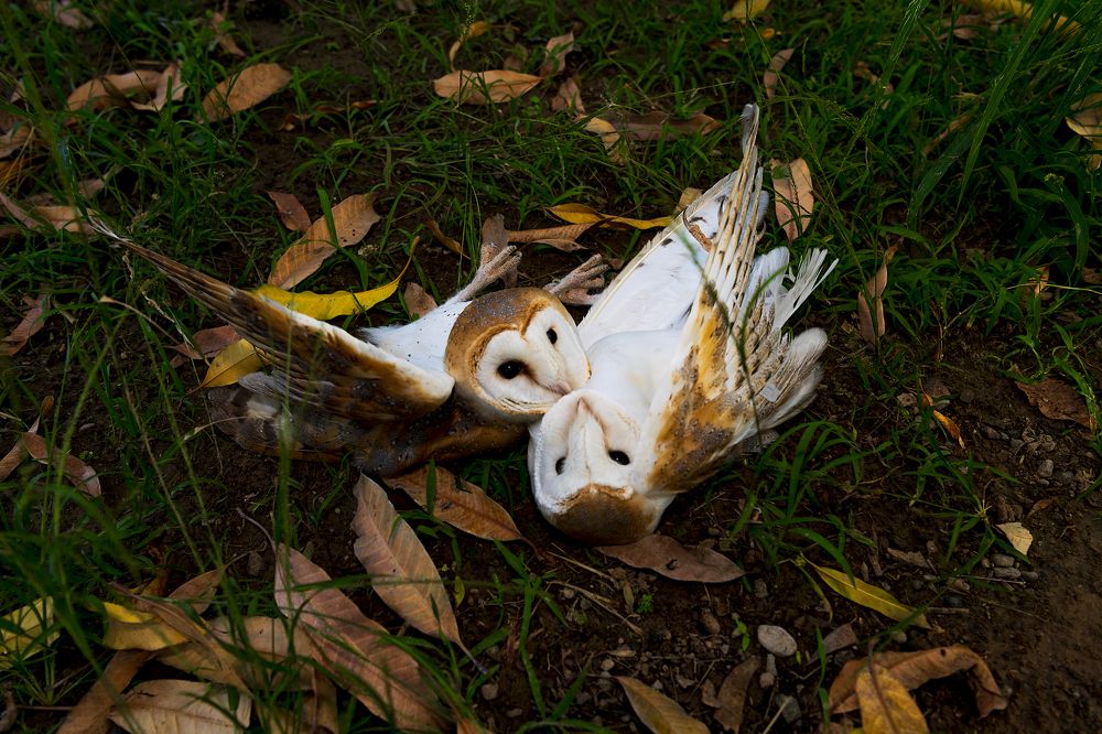 Photograph by salem sultan