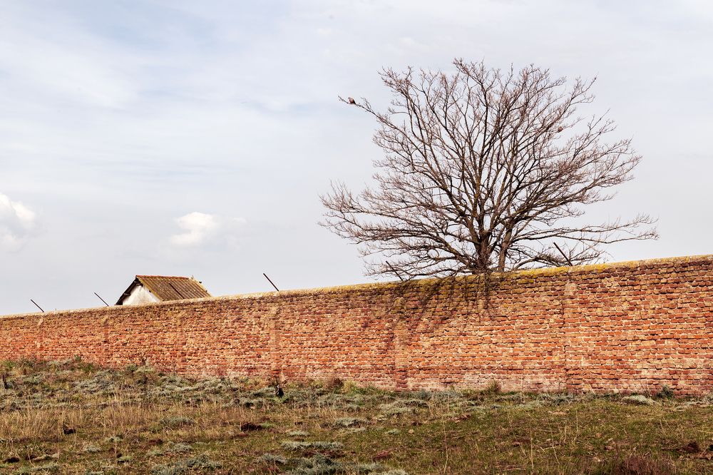 Photograph by Lucia Ana Juárez