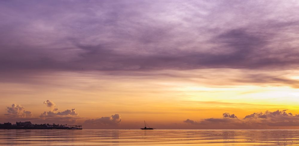 Photograph by Antony Trivet