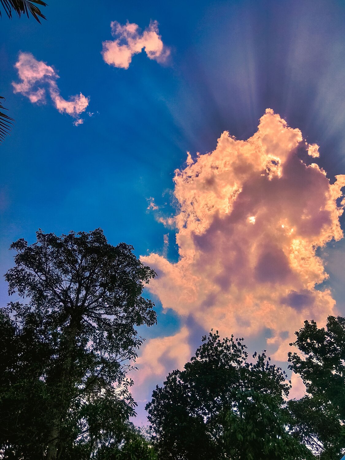 Nature Photography