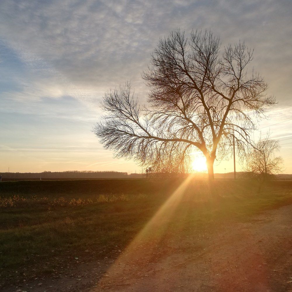 Photograph by Наталья S.