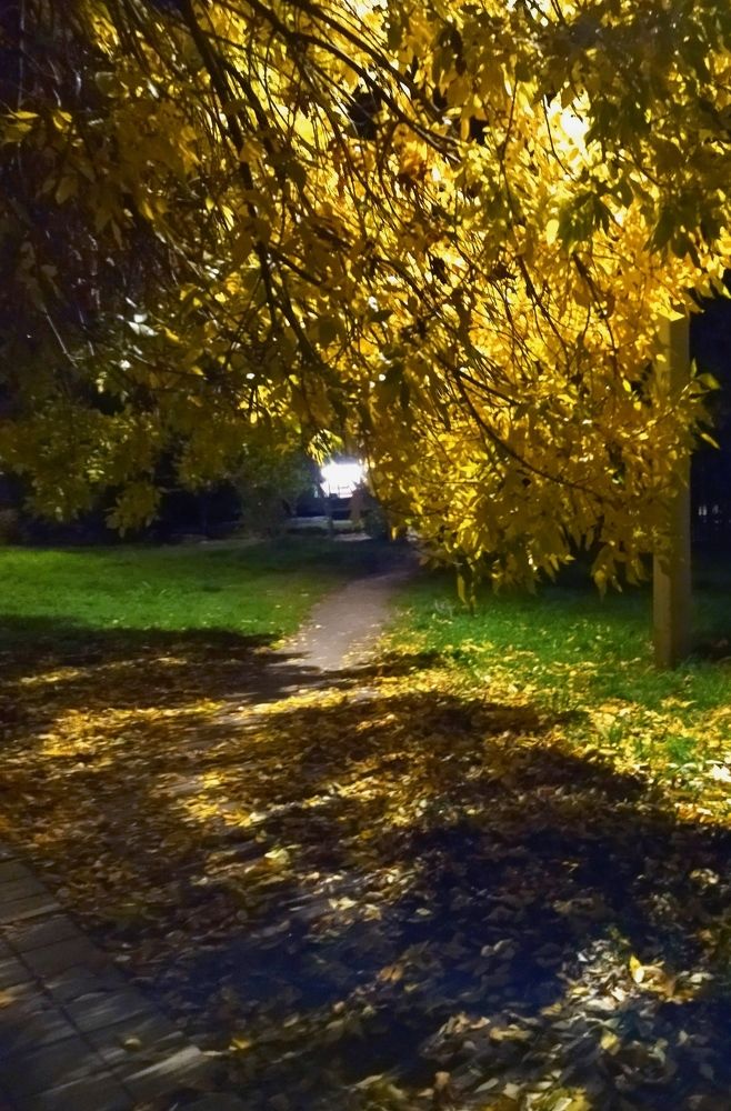 Photograph by Олеся Белова