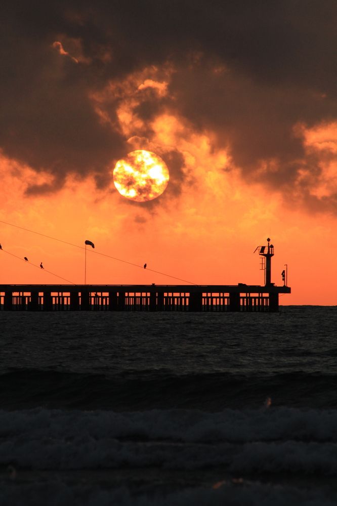 Photograph by Инна Майорова