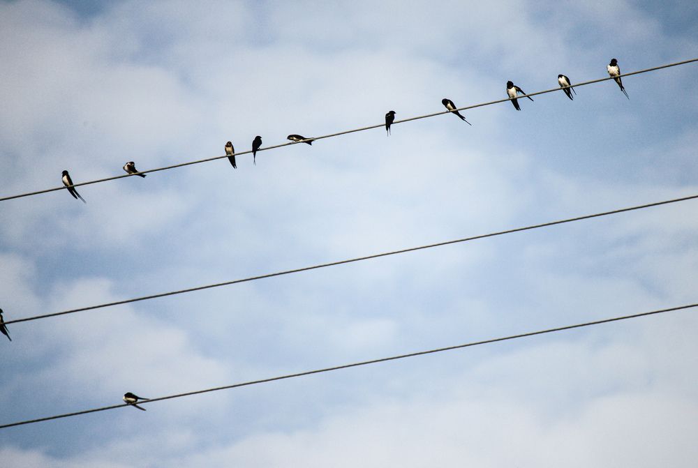 Photograph by Елена Сырцева