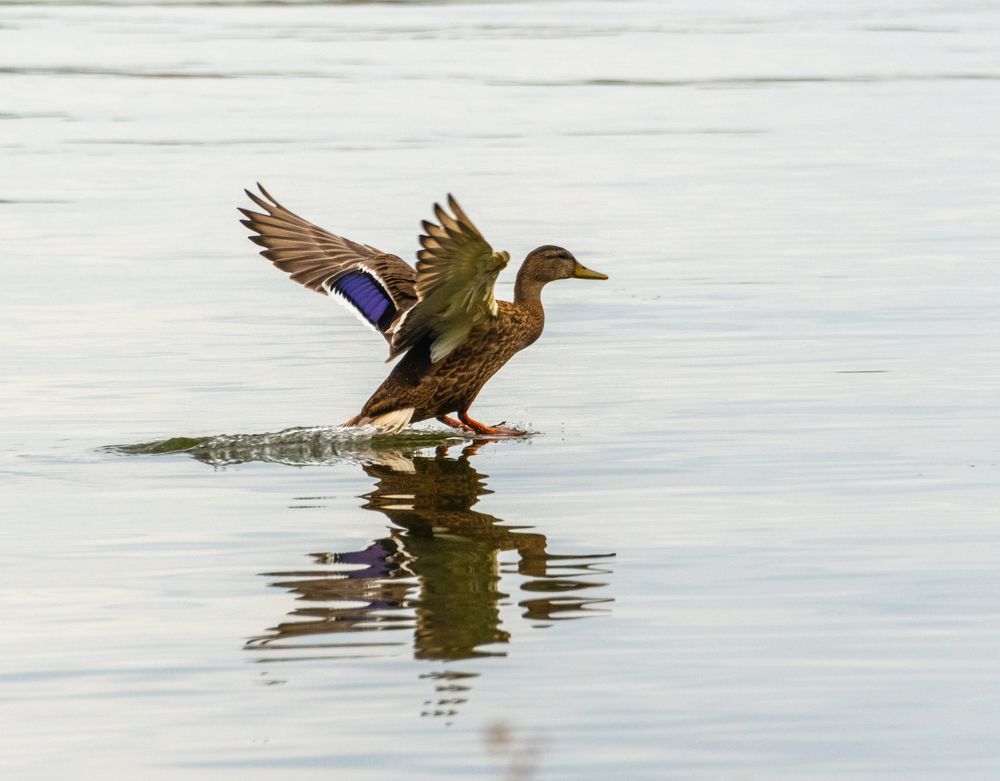 Photograph by Сергей Мальцев