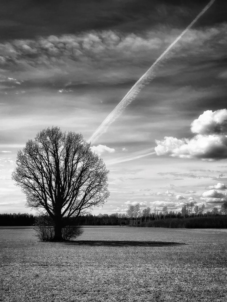 Photograph by Марина Танаева