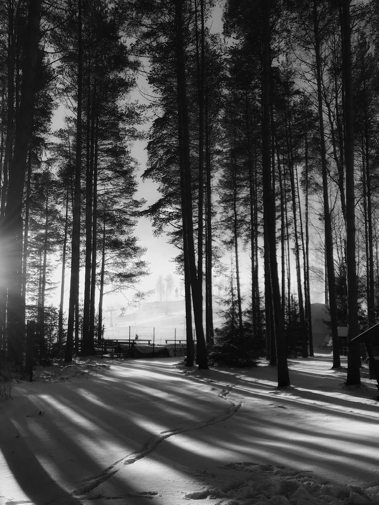 Photograph by Марина Танаева