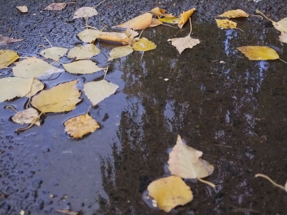 Photograph by Наталья Сметанина