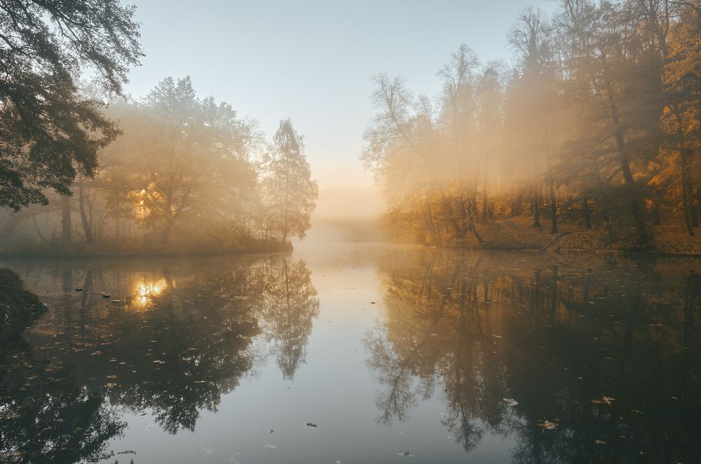 Photograph by Александр Гришин