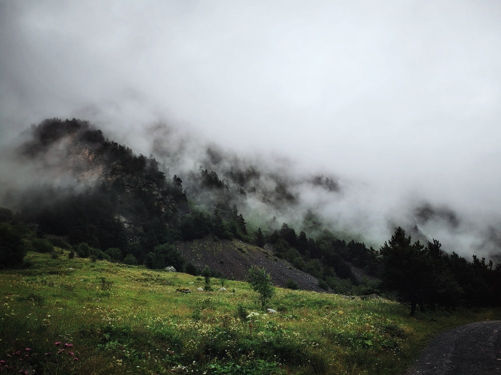 Photograph by Настя Хомастя