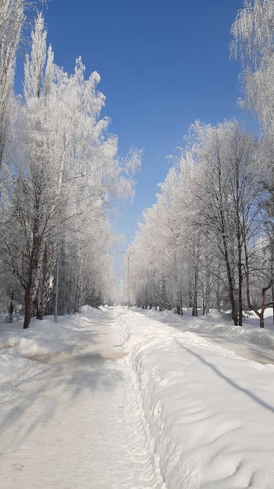 Photograph by Татьяна Биргулиева