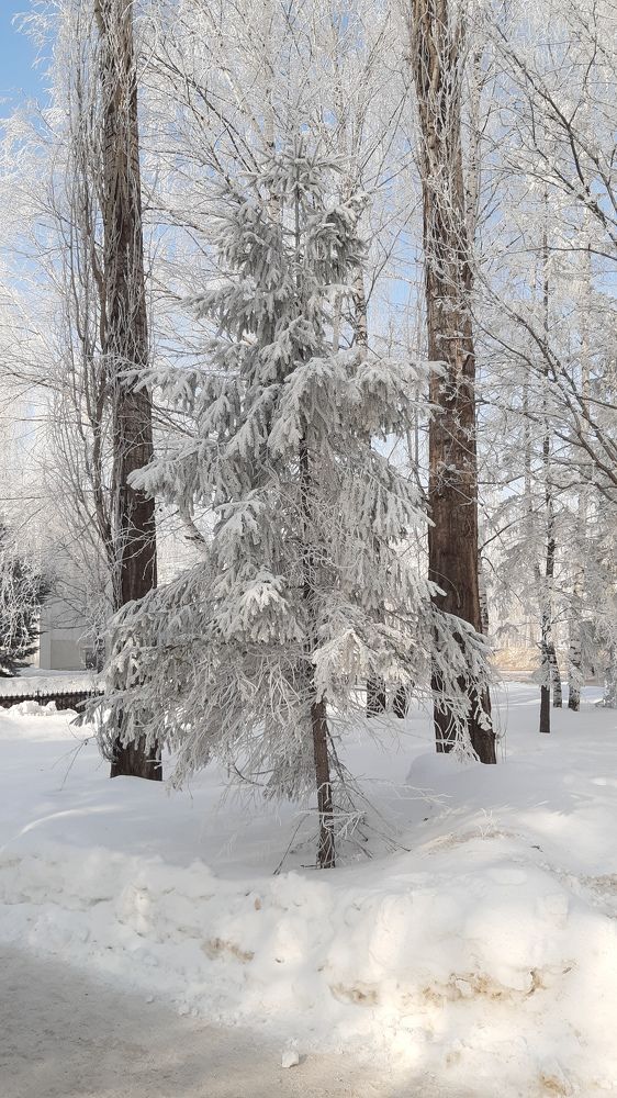 Photograph by Татьяна Биргулиева