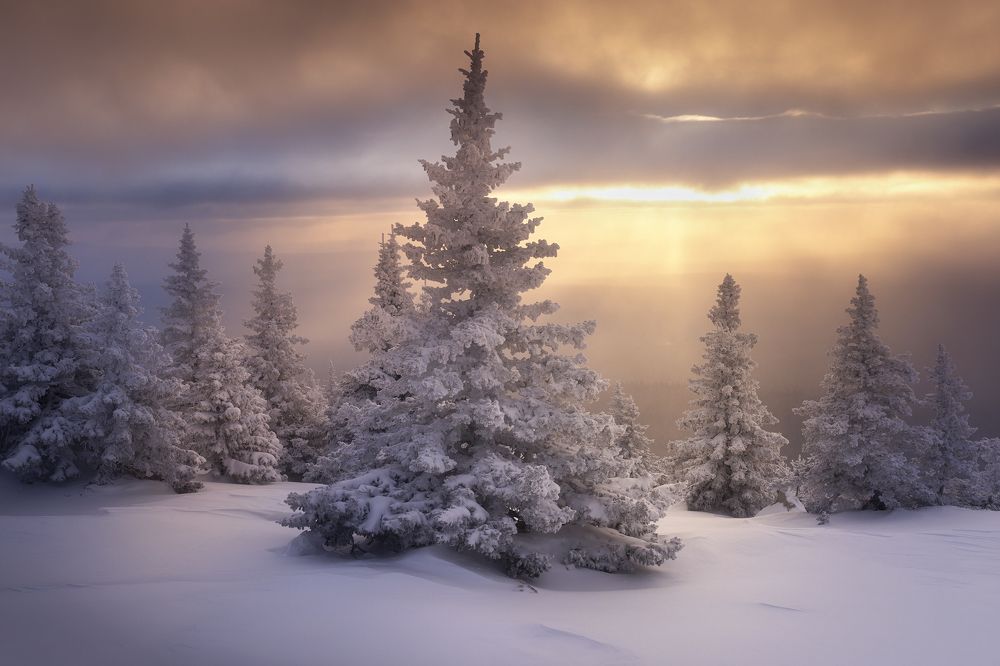 Photograph by Татьяна Бирюкова