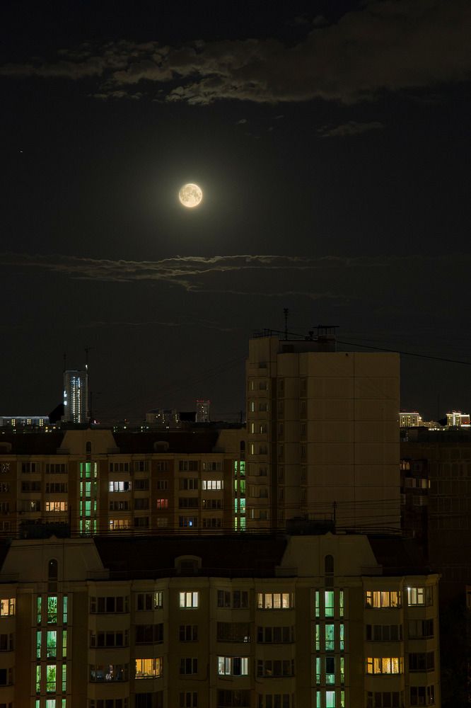 Лунная ночь