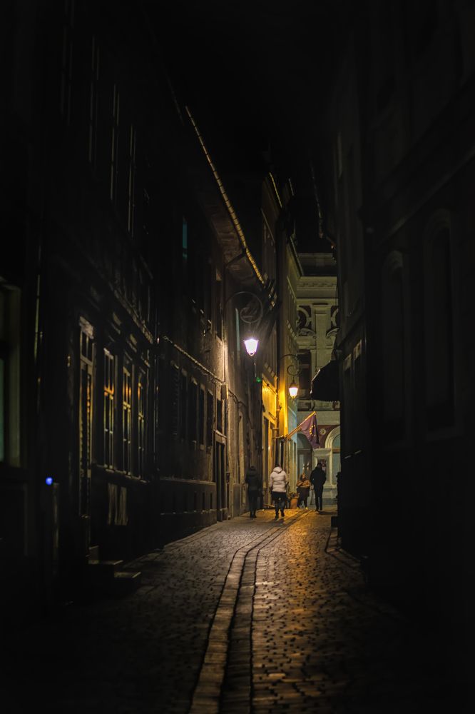 Photograph by Sarageaua Cristina