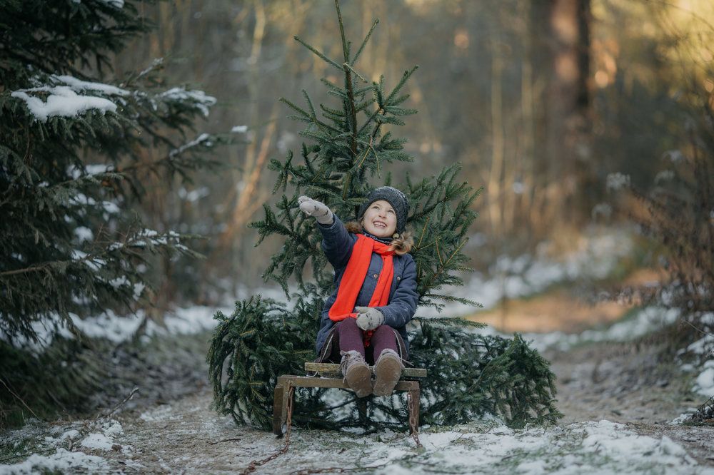 Фотография автора Ирина Меркуленко
