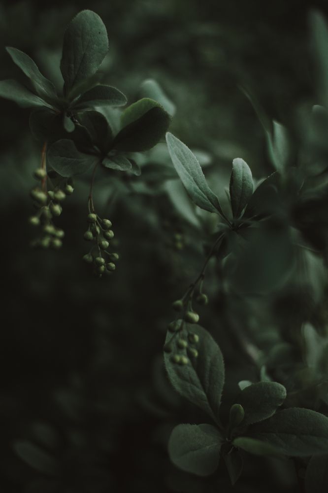 Photograph by Виктория Гончарук