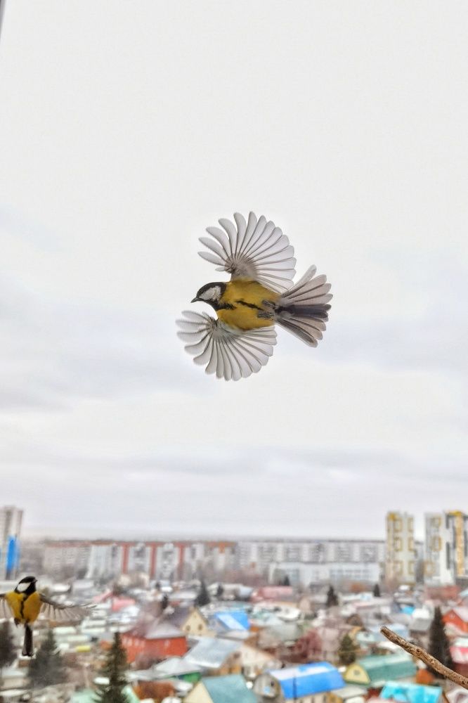 Photograph by Евгений Фелингер