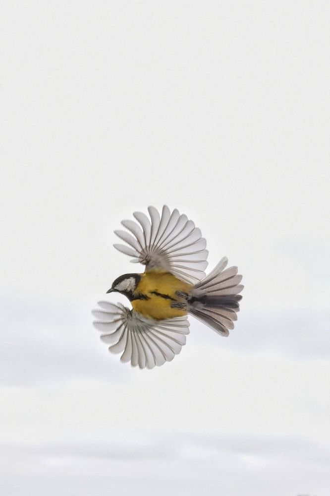 Photograph by Евгений Фелингер