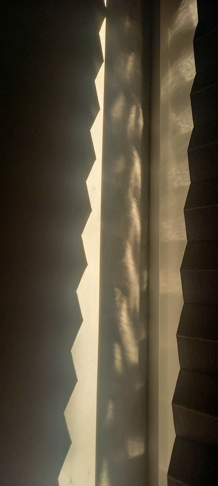 Photograph by Viktoria Vavilkina