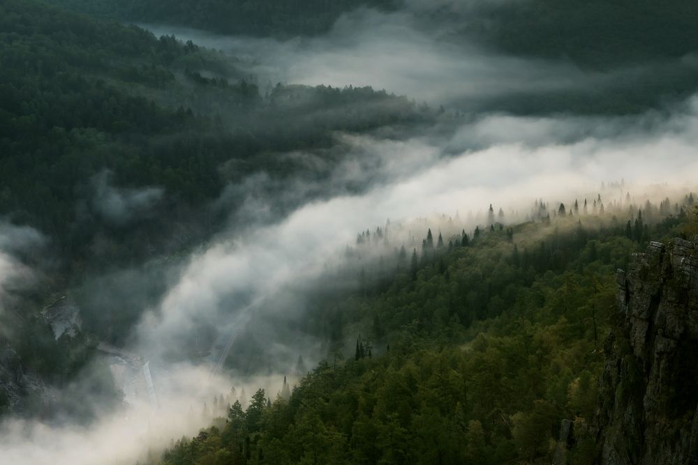 Photograph by Соколова Елена