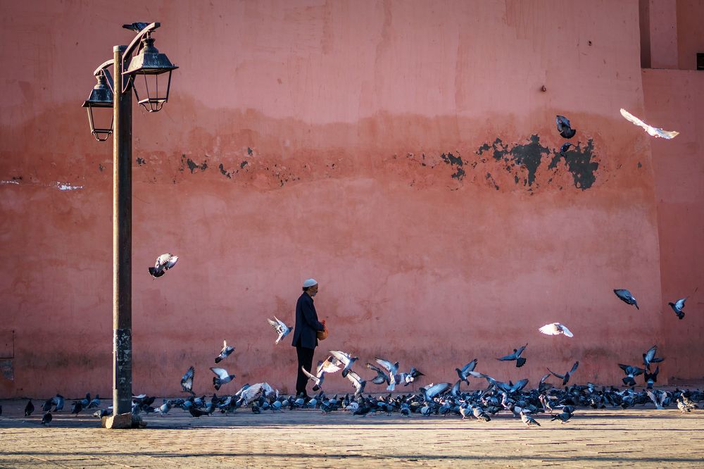 Photograph by Adrian Grigore