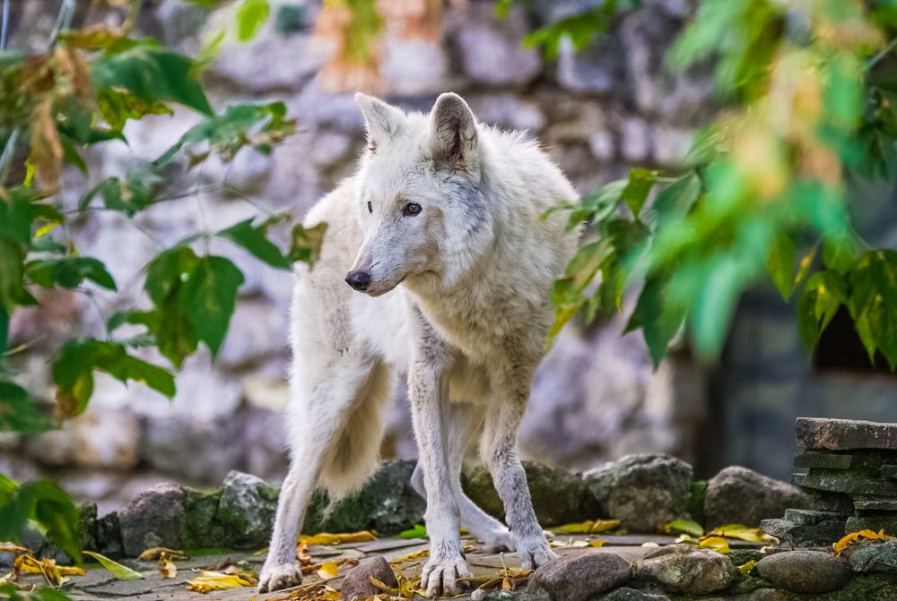 Photograph by Владимир Орлов