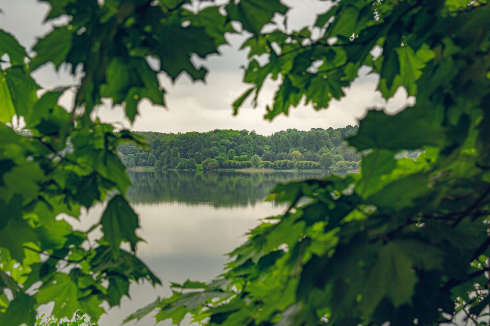 Фотография автора Михаил Наволокин