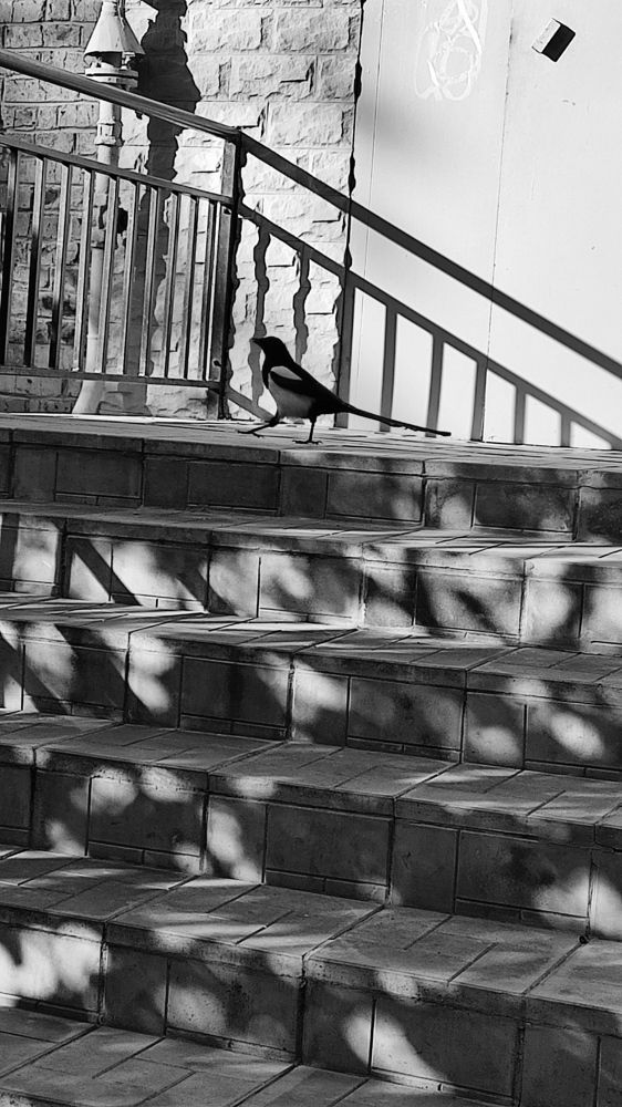 Photograph by Надежда