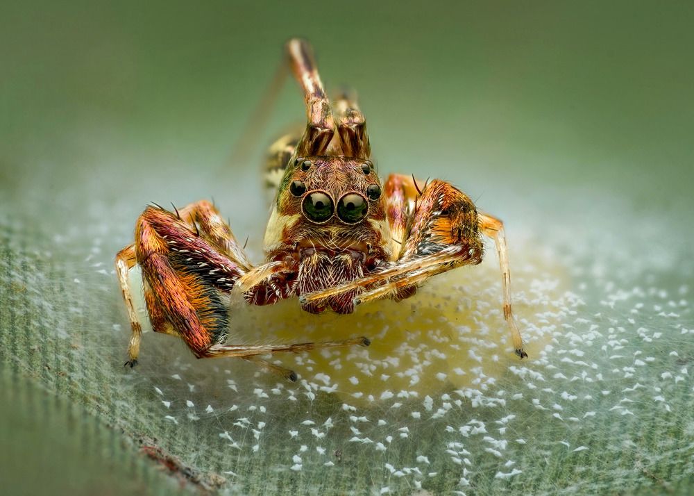 Фотография автора Tran Tuan