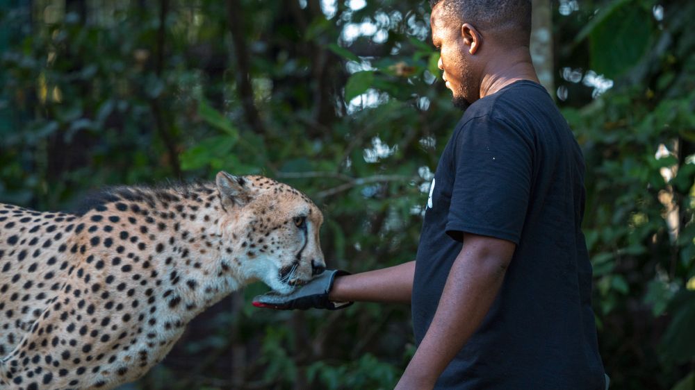 Photograph by Khazov Artem