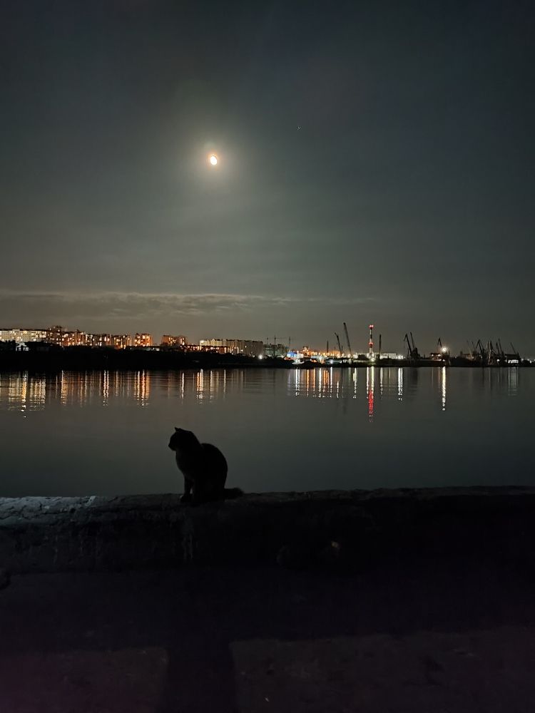 Photograph by OLGA OMETOVA