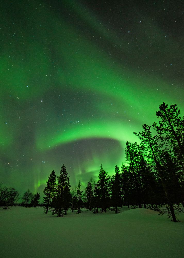 Photograph by Оксана Кузнецова