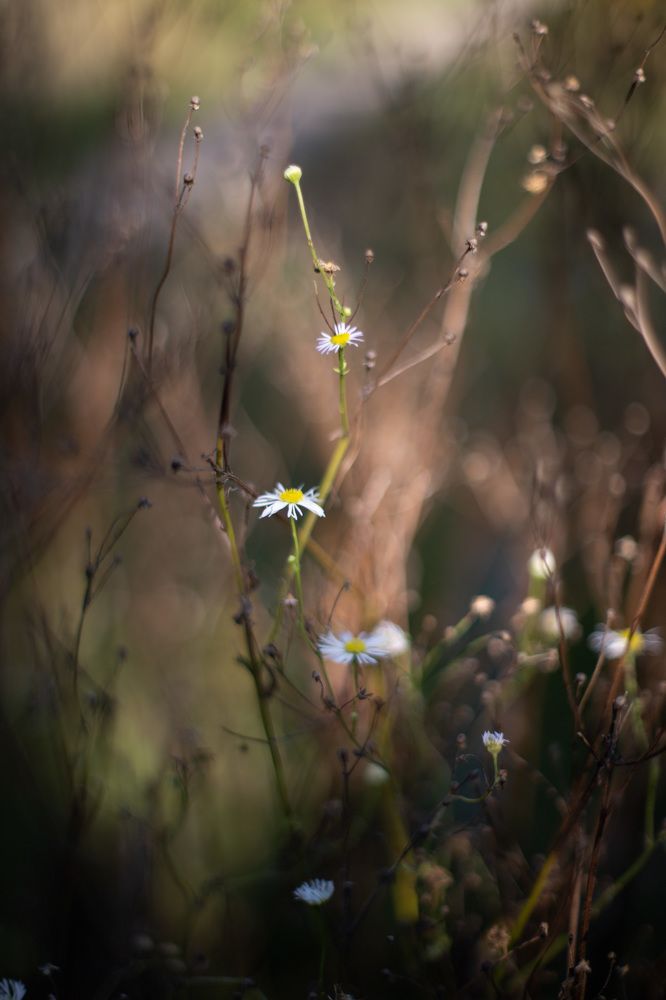 Photograph by Филипп Бабенко
