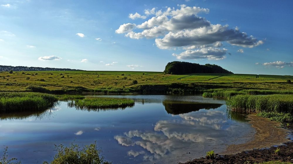 Летний день