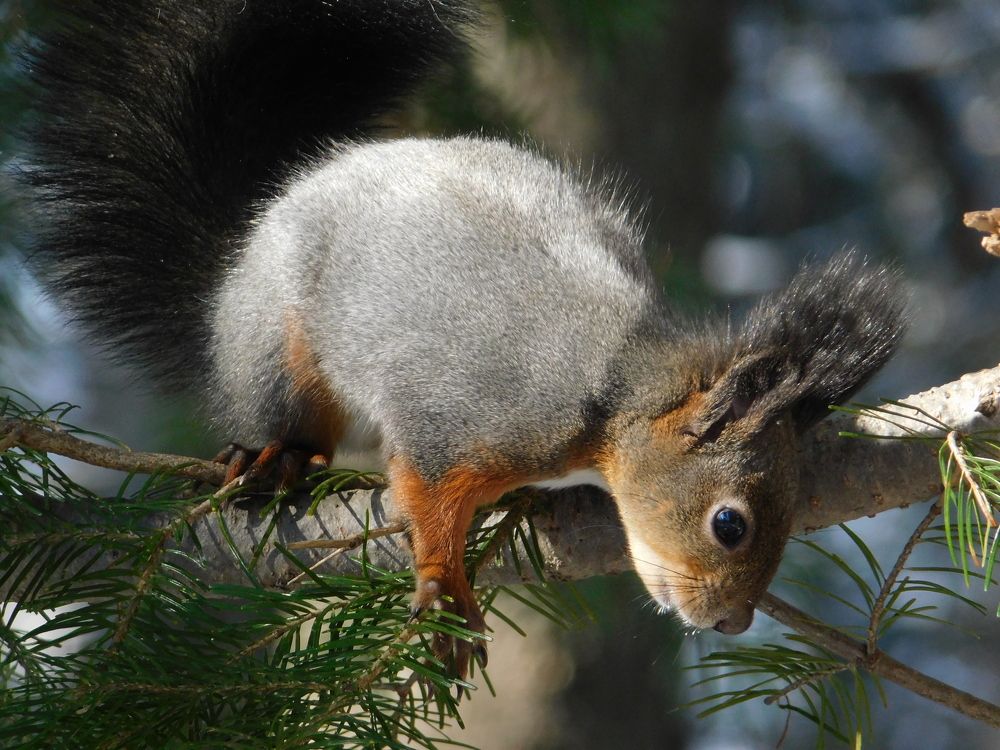 Photograph by Алексей